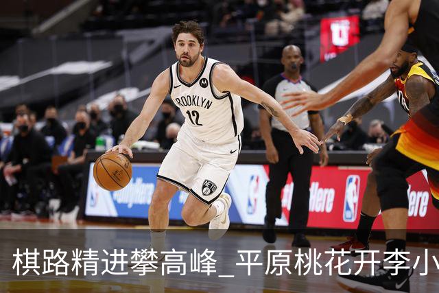 棋路精进攀高峰 平原桃花开李小溪荣升六段